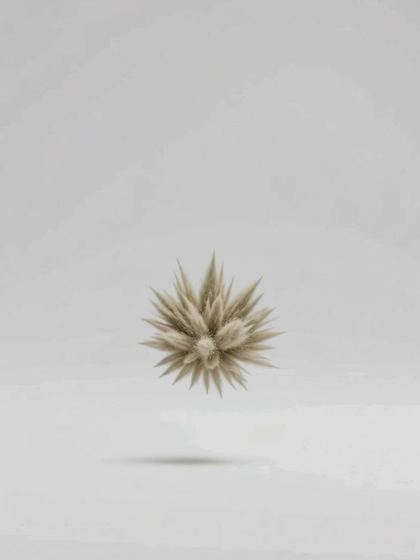 OVATA Husk Powder